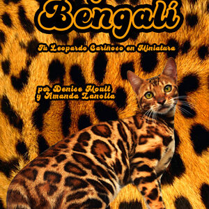 libro del gato bengali